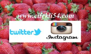 cilekli54twirtter