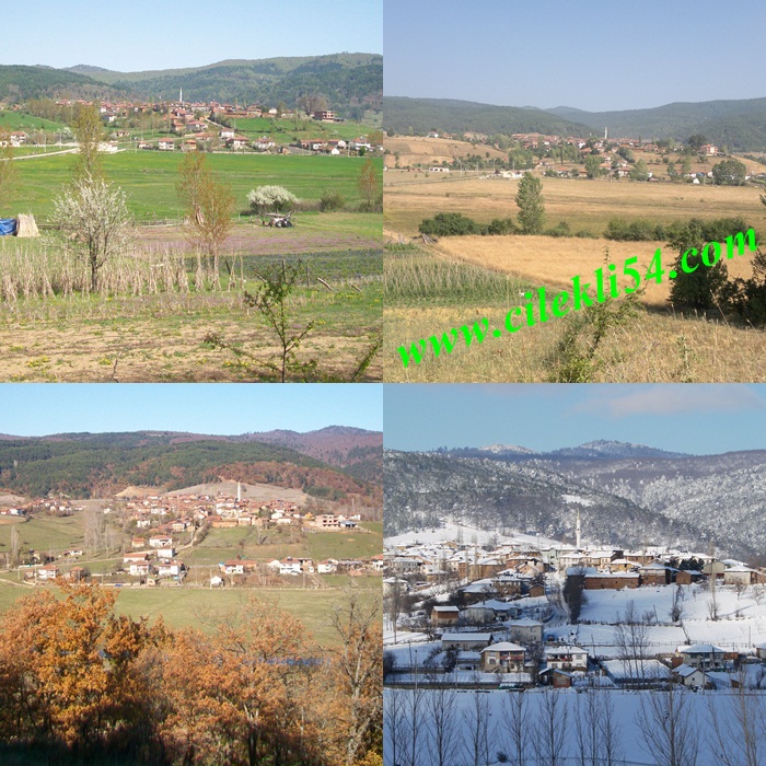 dort mevsim