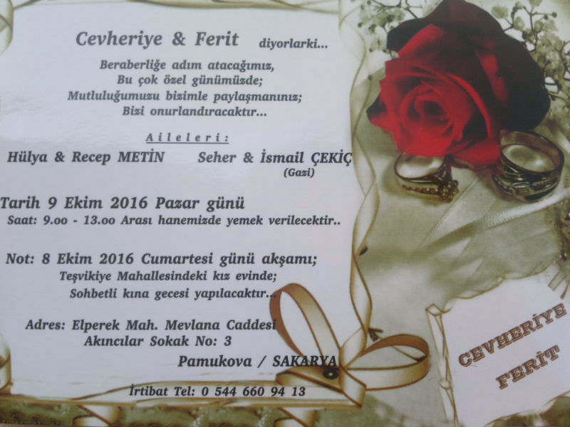 feritcekic