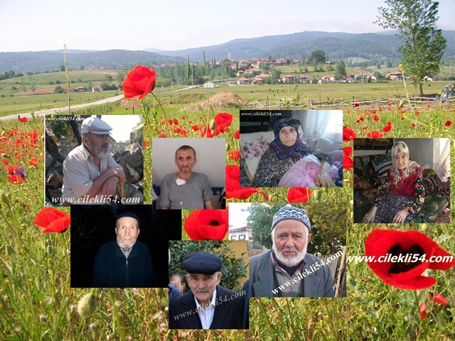 gelincik