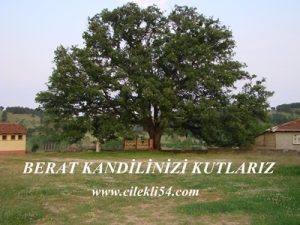 katırozu cilekli simgesi