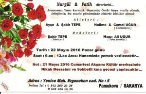 nurgultepe 001
